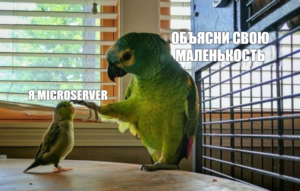 HPE MicroServer — его хотел каждый, и как его сознательно убили - 1