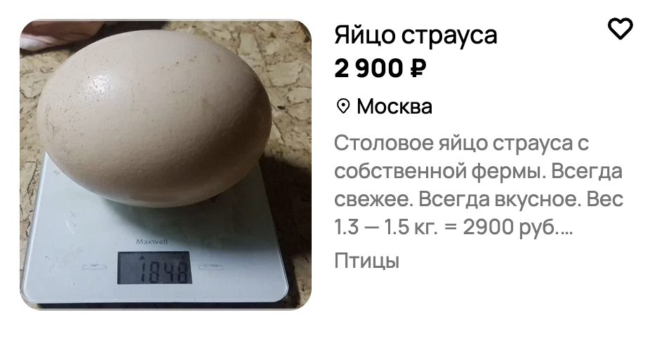 Как инженер переехал в деревню, построил ферму и 5 лет работал без прибыли - 8