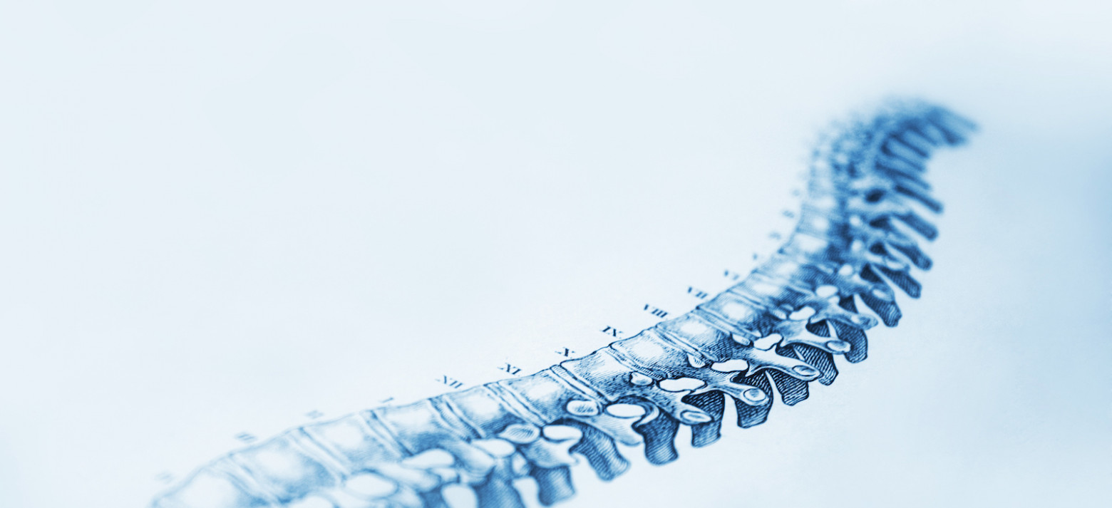 Спинной мозг на 3D-принтере - 1