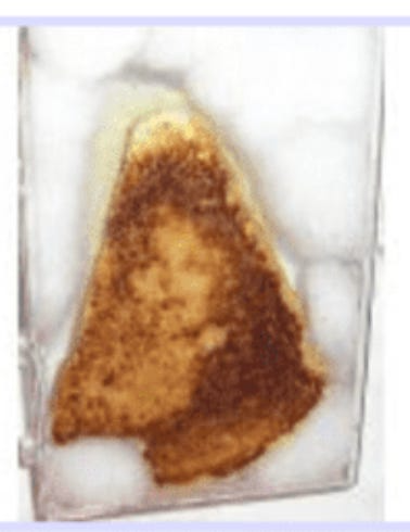 ИИ — просто мешок слов. Как перестать видеть интеллект там, где его нет - 1 ИИ — просто мешок слов. Как перестать видеть интеллект там, где его нет - 1