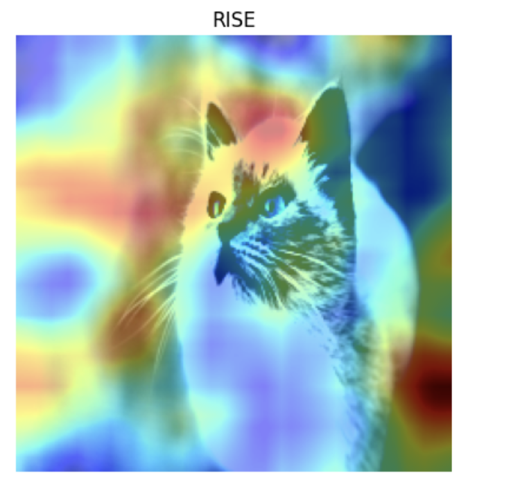 RISE на 10 масках