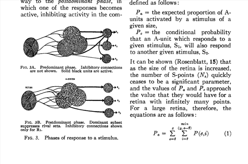 Отрывок из статьи Розенблатта 