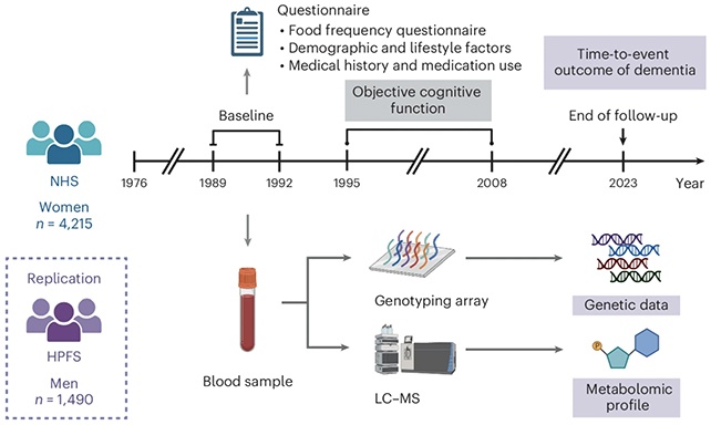 В исследовании были объединены данные о питании, когнитивных функциях и генетике.