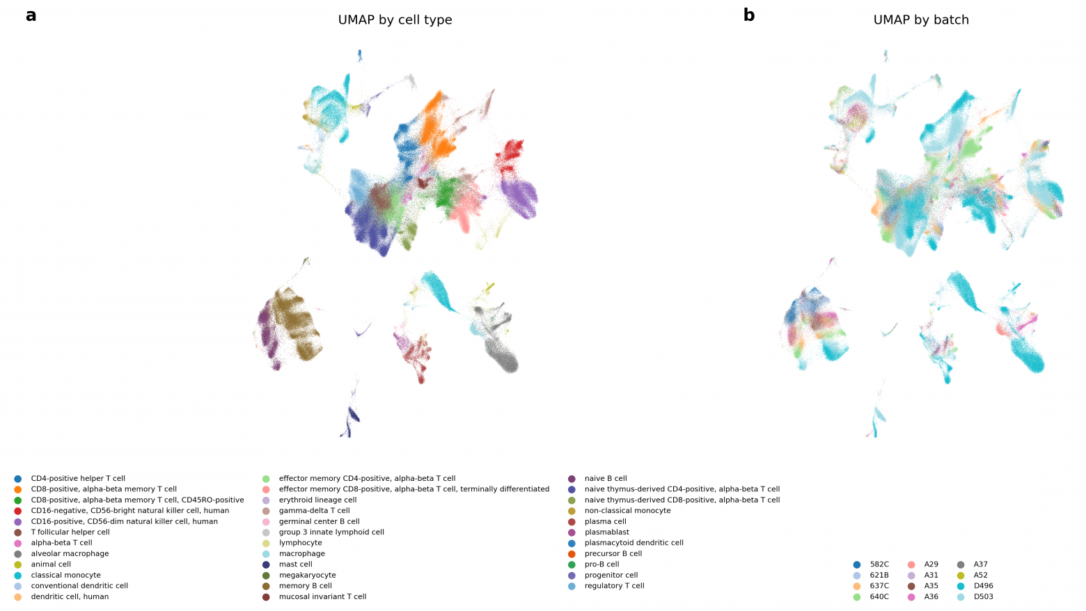 UMAP (равномерное многообразие аппроксимации и проекции) проекция BBKNN (TS) на наборе данных «Атлас иммунных клеток». a) Проекция UMAP, окрашенная по типу клеток, показывает кластеры, специфичные для типа клеток. b) Проекция UMAP, окрашенная по партии данных, показывает хорошее смешивание партий по всему набору данных.