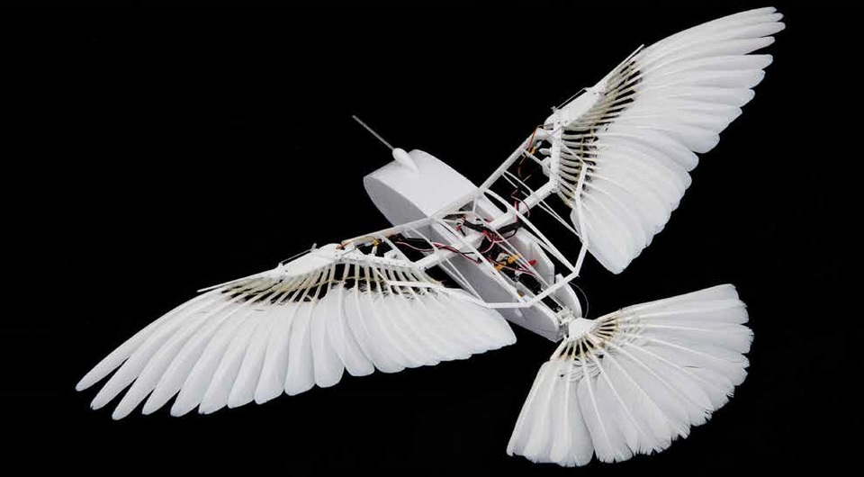 Кстати, голубь-биоробот — не выдумка масонов-рептилоидов, trust me  