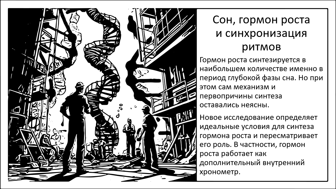 Сон, гормон роста и восстановление. Как именно организм работает ночью - 1