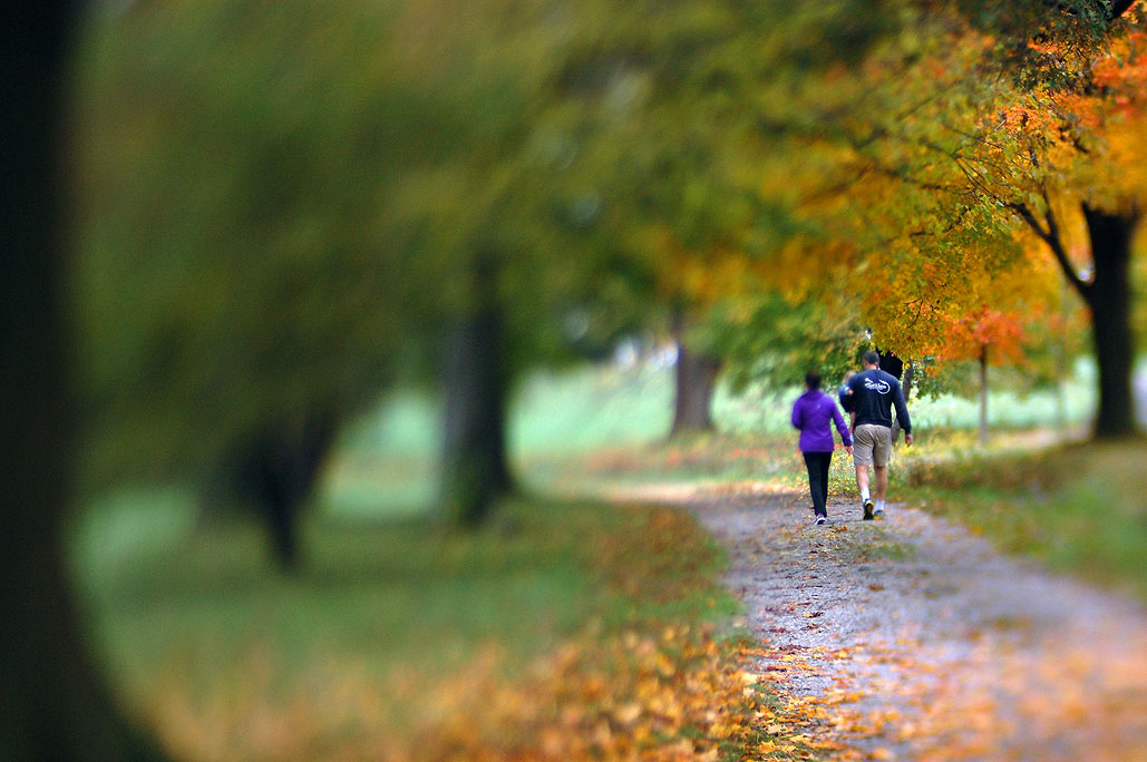 Пример работы Lensbaby Edge 80. Rainy Day Magazine