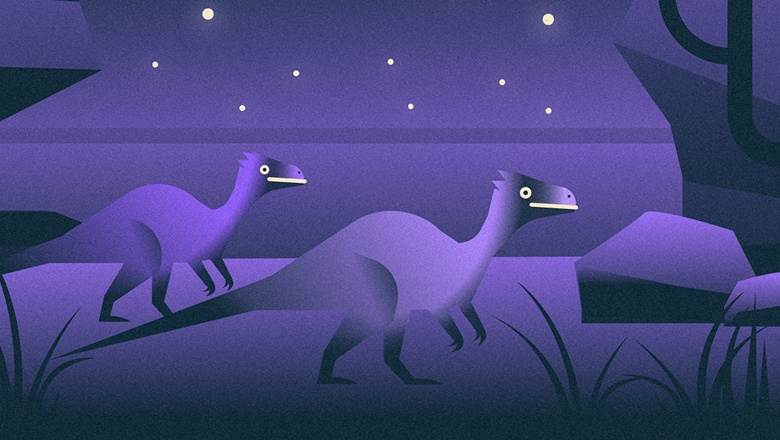 Индюк Мелового периода: что не так с образом велоцираптора - 1 Индюк Мелового периода: что не так с образом велоцираптора - 1