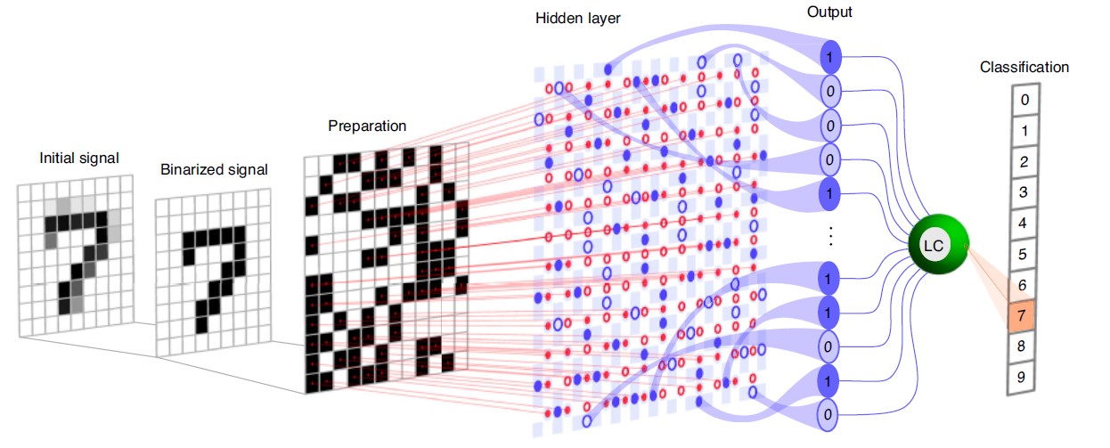 Нейронные сети, вдохновленные природой: новая архитектура экситон-поляритонных решеток эффективнее распознает образы - 2 нейронной