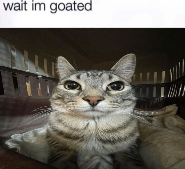 Достаточно просто говорит он...