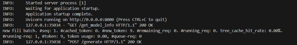 SGLang сервер запущен