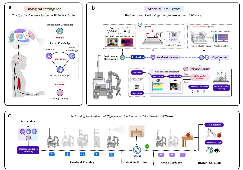 BSC-Nav — фреймворк когнитивного пространственного интеллекта: от биологической памяти к рабочей памяти агента и высоким навыкам