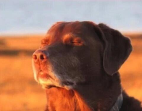 NoCode инструменты для создания AI-приложений с RAG: быстрый старт - 19