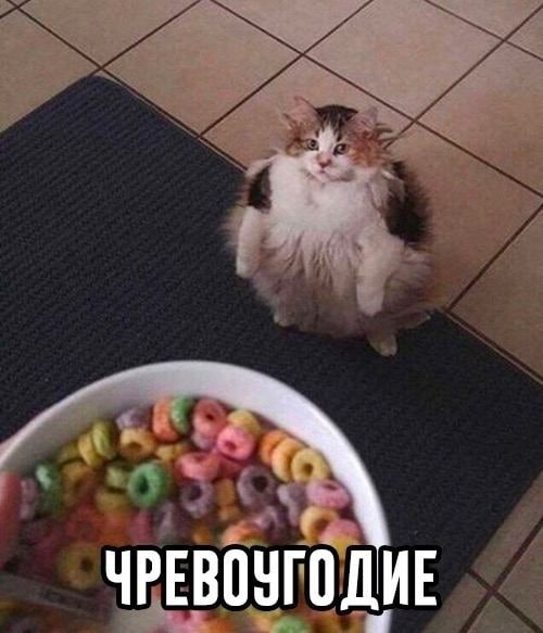 Finetuning без греха: как кастомизировать AI и не сломать его - 2 Finetuning без греха: как кастомизировать AI и не сломать его - 2