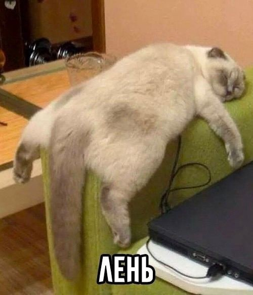 Finetuning без греха: как кастомизировать AI и не сломать его - 3 Finetuning без греха: как кастомизировать AI и не сломать его - 3