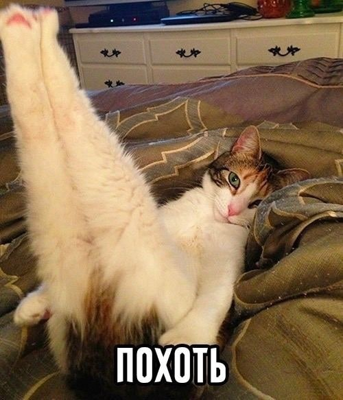 Finetuning без греха: как кастомизировать AI и не сломать его - 7 Finetuning без греха: как кастомизировать AI и не сломать его - 7