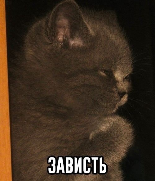 Finetuning без греха: как кастомизировать AI и не сломать его - 9 Finetuning без греха: как кастомизировать AI и не сломать его - 9