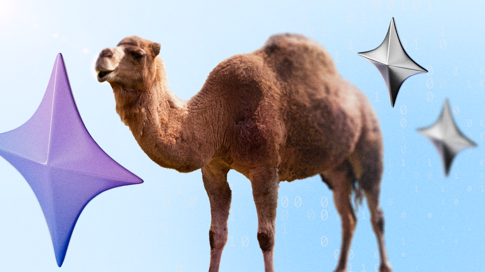 «Перловый ренессанс»: почему забытый язык Perl снова в деле - 1