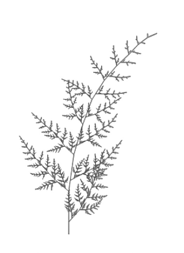 Фрактал Барнсли: чёткие канонические итерации