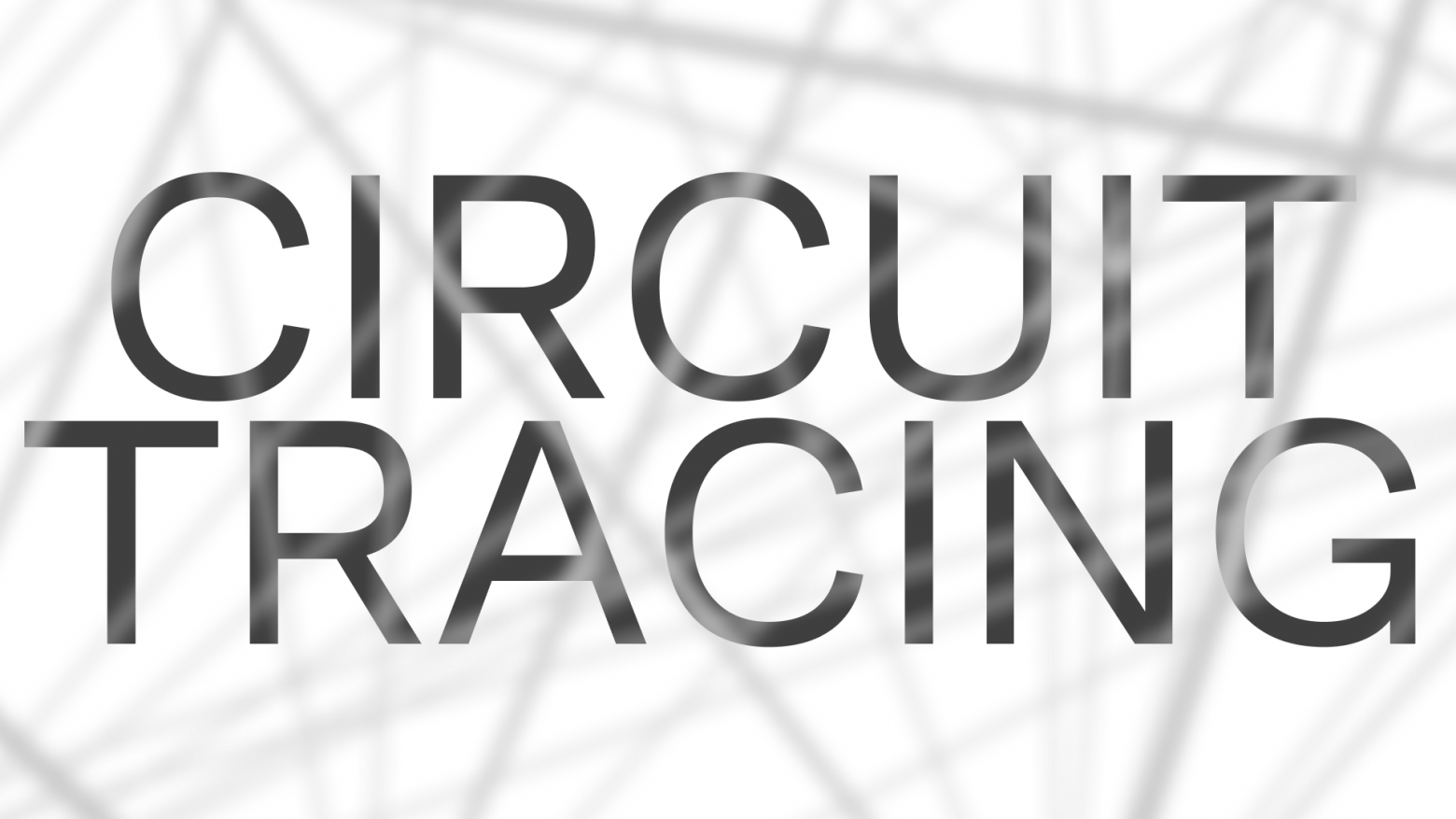 Circuit Tracing: как заглянуть в галлюцинации модели и найти там смысл - 1