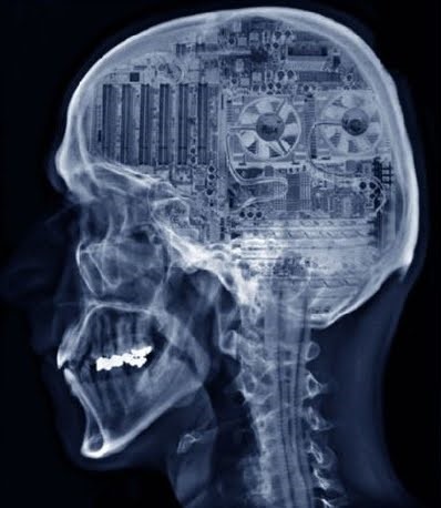 Мозг и мультимодальные нейросети как генераторы виртуальной реальности - 11