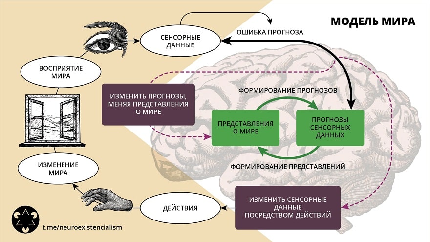 Теория предсказательного разума