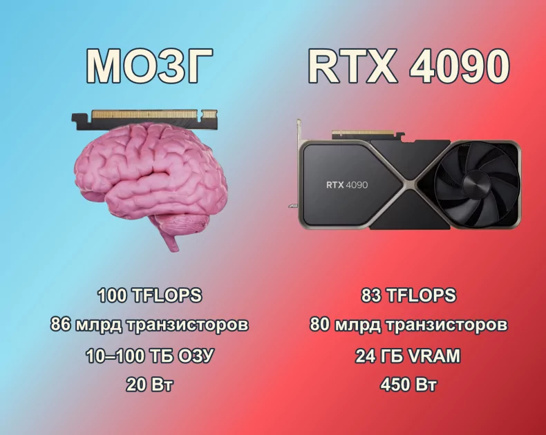 Мозг и мультимодальные нейросети как генераторы виртуальной реальности - 8