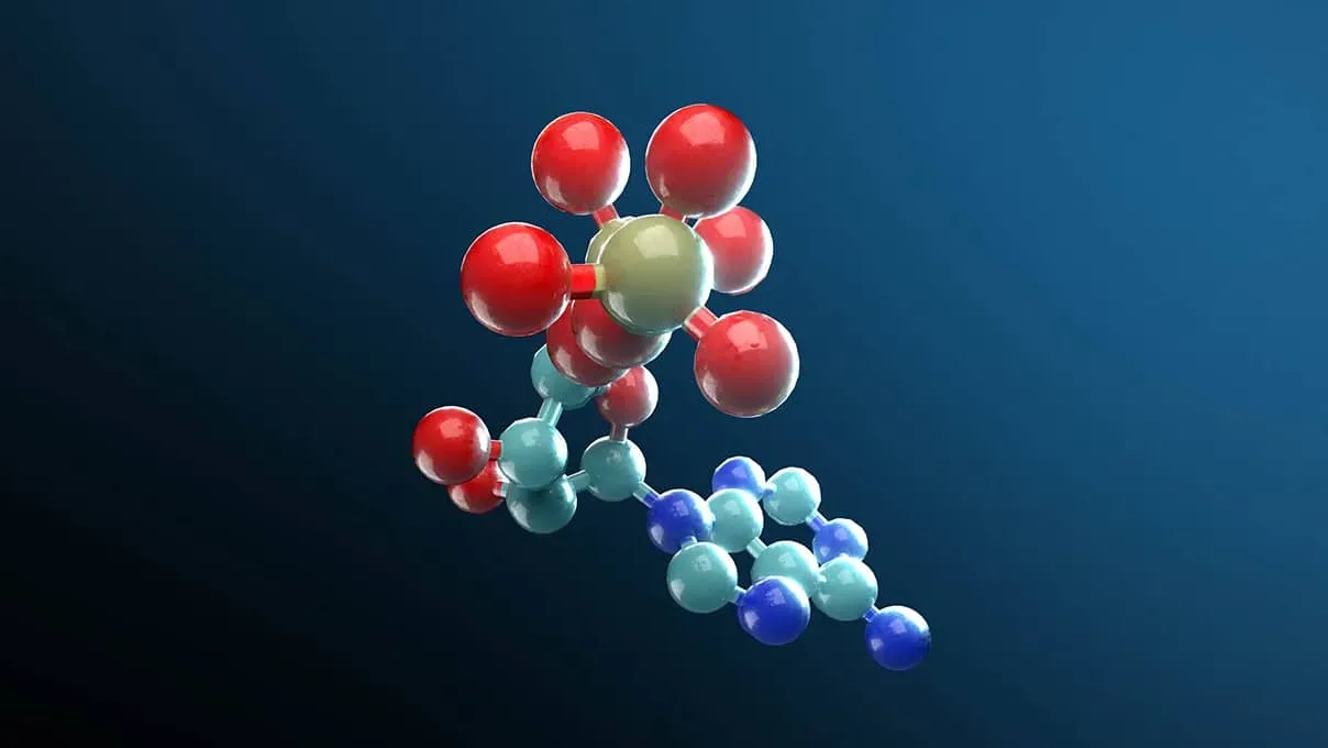 ИИ шаг за шагом учится строить молекулы - 1 ИИ шаг за шагом учится строить молекулы - 1