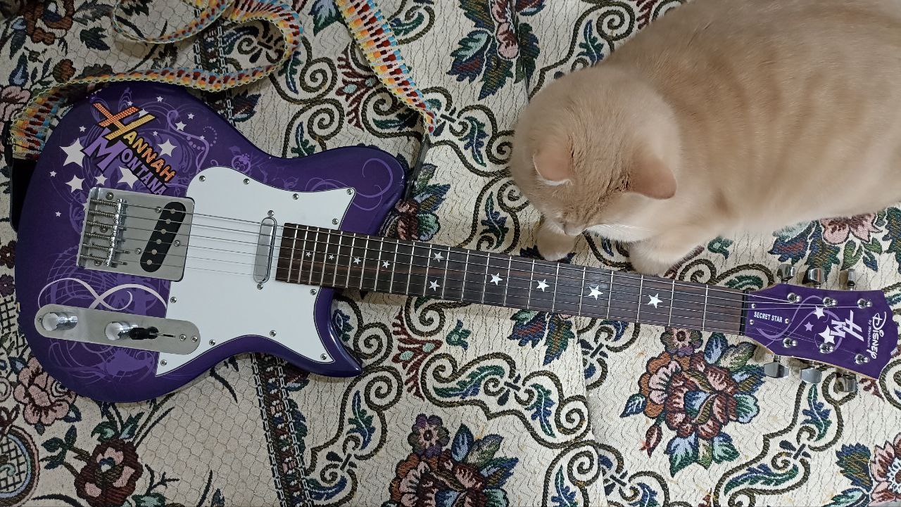 Enya Inspire — умная углепластиковая электрогитара для гиков - 11 Enya Inspire — умная углепластиковая электрогитара для гиков - 11