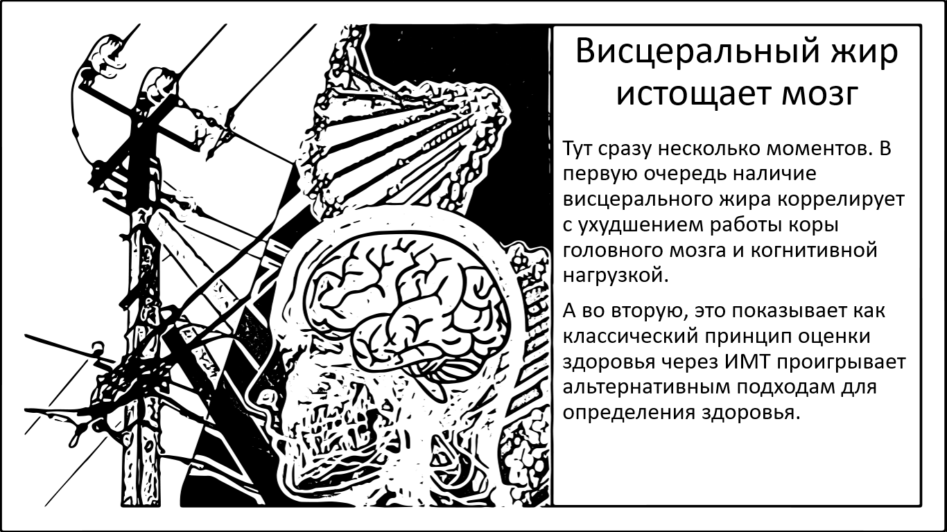 Как висцеральный жир истощает мозг - 1 Как висцеральный жир истощает мозг - 1
