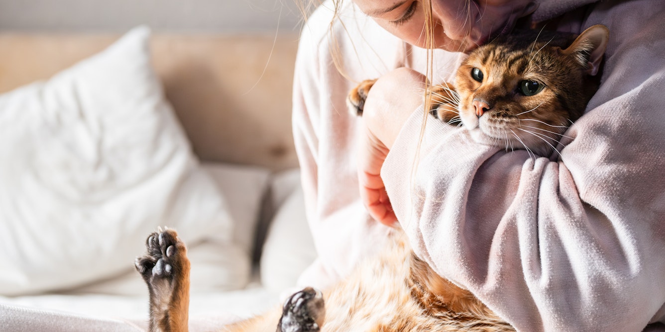 Как владение кошкой влияет на мозг человека (и на мозг кошки) - 1 Как владение кошкой влияет на мозг человека (и на мозг кошки) - 1