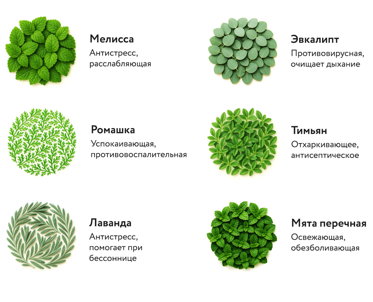 Как воробей Вася вайб-кодингом убился и причём тут Мао Цзэдун (трафик, 18+) - 16