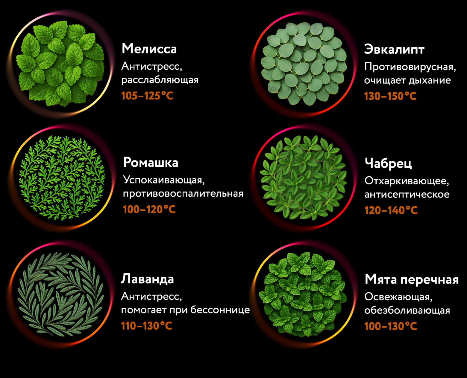 Как воробей Вася вайб-кодингом убился и причём тут Мао Цзэдун (трафик, 18+) - 18