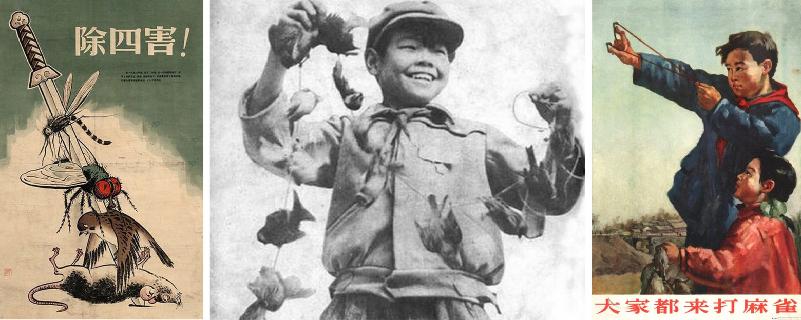 Как воробей Вася вайб-кодингом убился и причём тут Мао Цзэдун (трафик, 18+) - 5