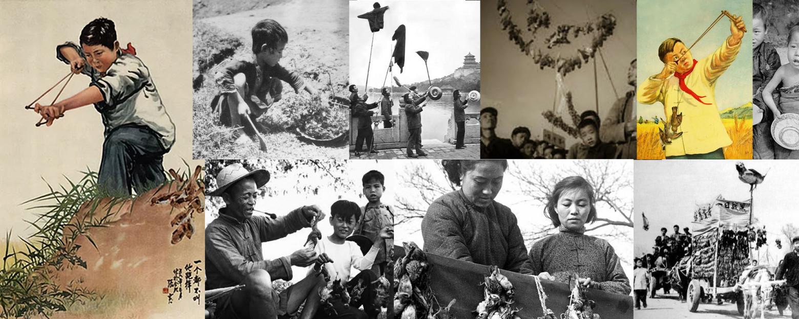 Как воробей Вася вайб-кодингом убился и причём тут Мао Цзэдун (трафик, 18+) - 6