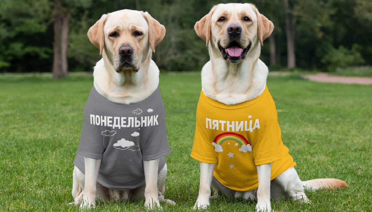 Kandinsky Image научился генерировать изображения с надписями на русском - 15