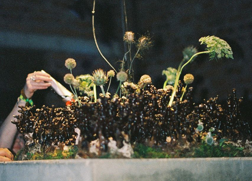 Для проверки некоторых гипотез о состоянии гриба на мицелий воздействовали с помощью массажёра с ИК-светом. Фото Анастасии Мезеновой 