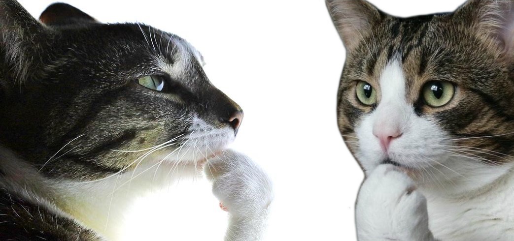 Зоопарк фреймворков для AI-агентов: как выбрать подходящий — делаем бенчмарк и большое сравнение - 9 Зоопарк фреймворков для AI-агентов: как выбрать подходящий — делаем бенчмарк и большое сравнение - 9