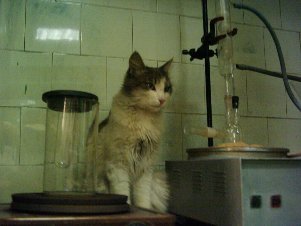 О горьком опыте масштабирования производств, о важности ведер и о причинах седины - 2 О горьком опыте масштабирования производств, о важности ведер и о причинах седины - 2