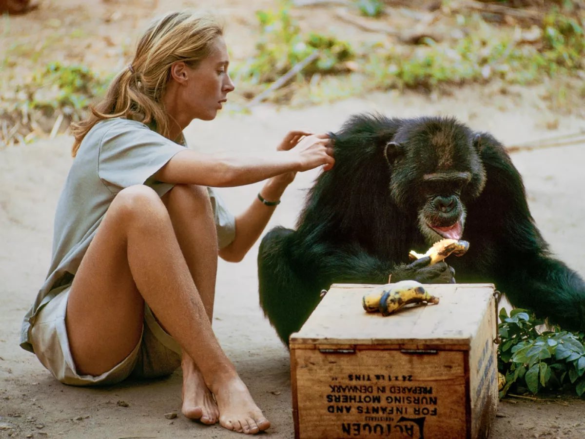 Шатдаун правительства США, а также Грокипедия от Илона Маска - 14