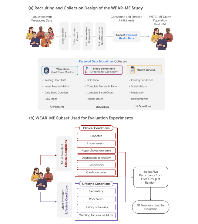 Исследование WEAR-ME включает пользователей Fitbit, которые дали согласие на участие. После согласия и регистрации участникам предложили посетить один из центров Quest для сдачи крови и сбора биохимических данных. Для каждого участника доступны мультимодальные данные: показания Fitbit, результаты анализов крови и анкеты. (b) Для гуманитарной оценки мы выбрали подмножество данных WEAR-ME на основе наиболее распространённых у участников состояний здоровья. Выделили 10 типовых профилей и случайным образом отобрали по пять человек из каждого. 
