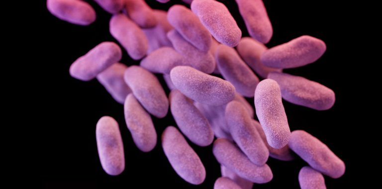 Устойчивая к антибиотикам супербактерия. Источник  