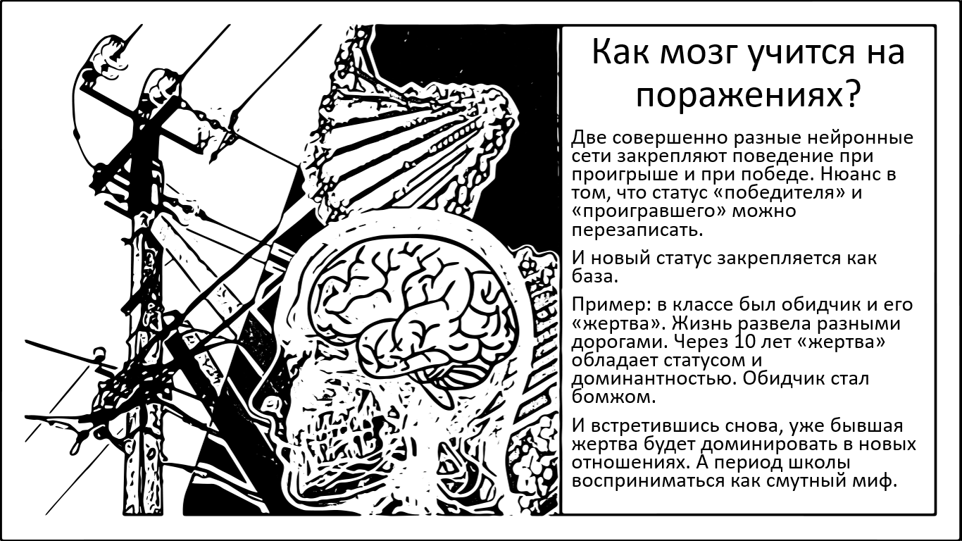 «Эффект неудачника». Как мозг переобучается после поражений и можем ли мы на это повлиять? - 1