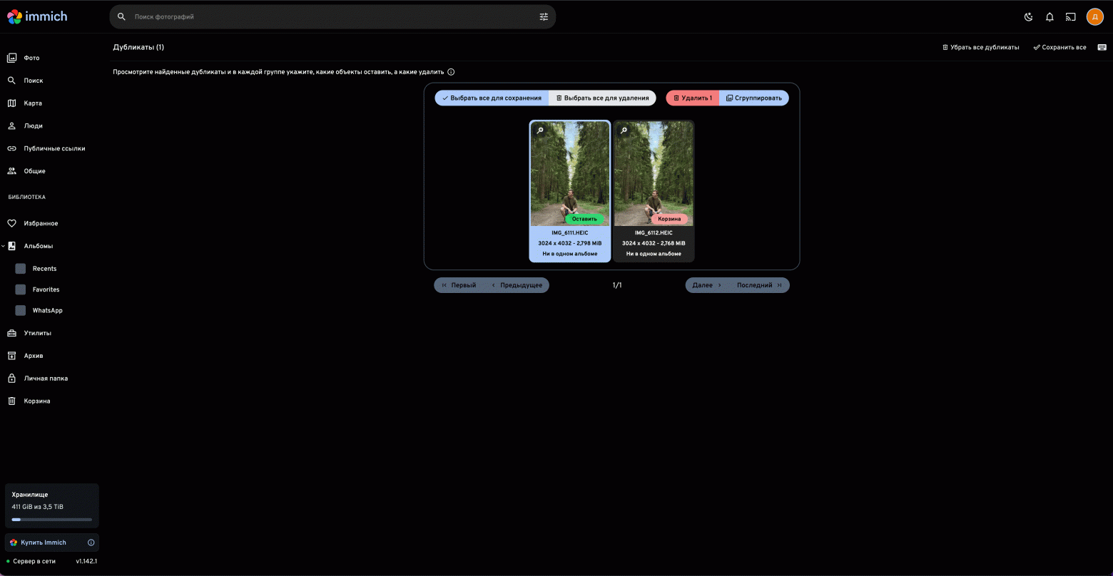 Забудь про облачные подписки! Полный переход с Google Photos на Immich. Мой личный опыт - 12