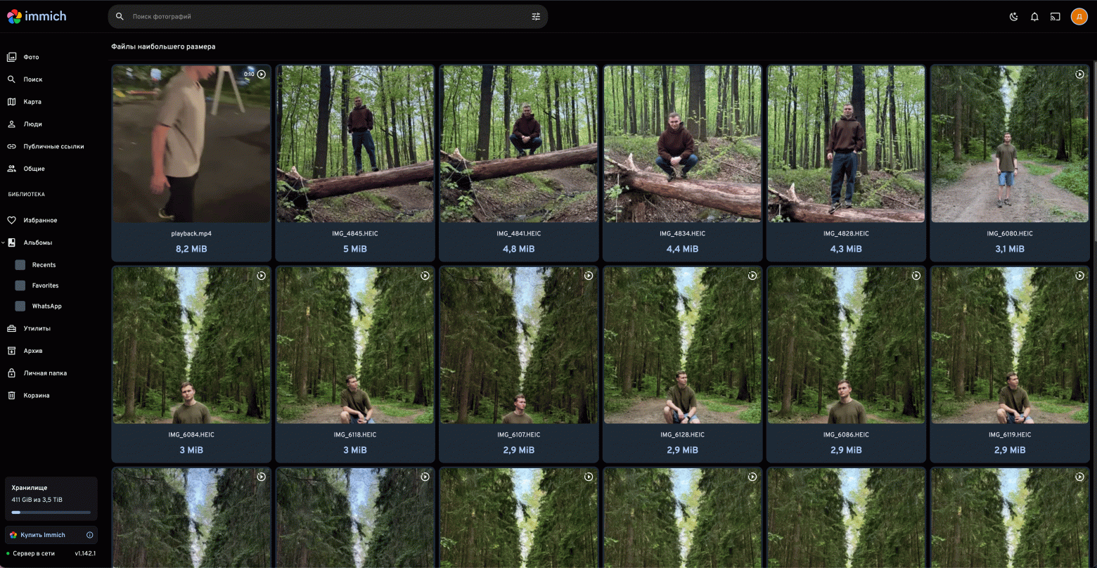 Забудь про облачные подписки! Полный переход с Google Photos на Immich. Мой личный опыт - 13