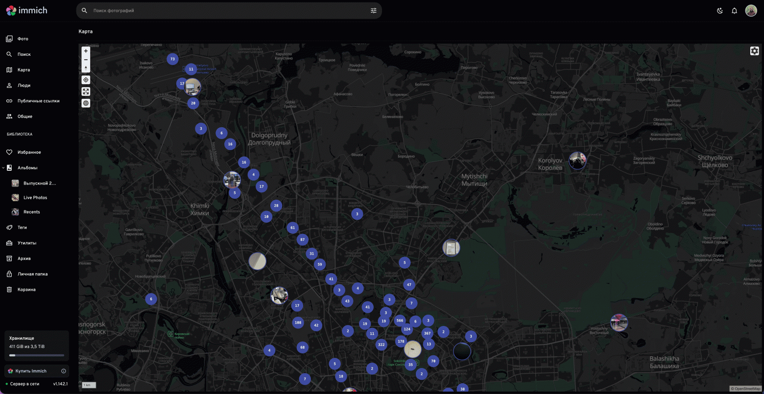 Забудь про облачные подписки! Полный переход с Google Photos на Immich. Мой личный опыт - 7