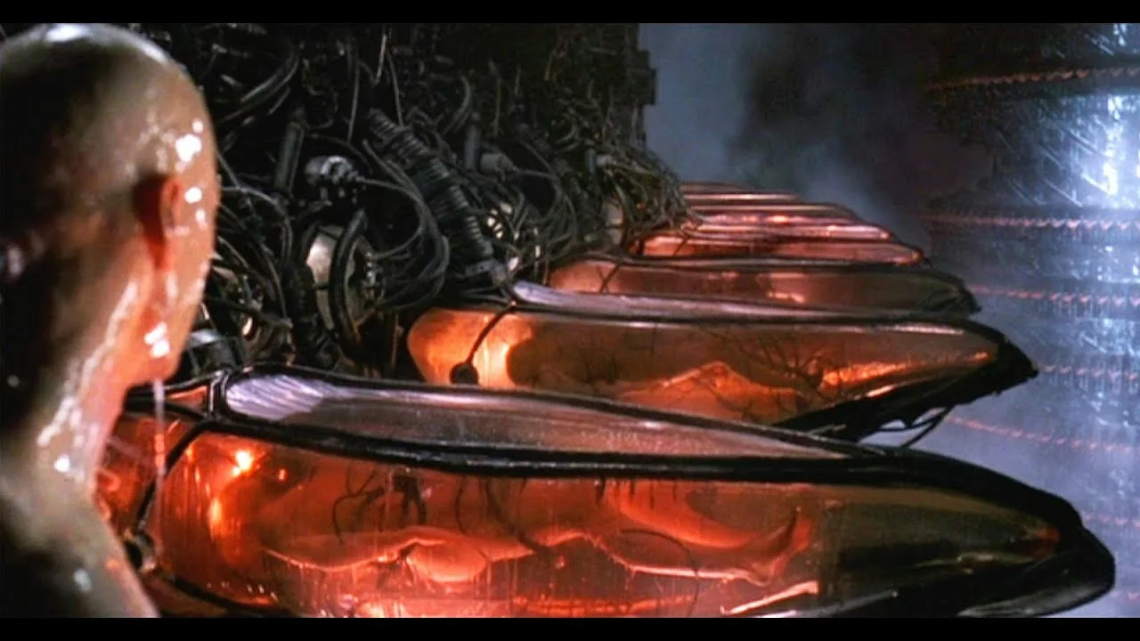 Люди плавают в ваннах своих негативных эмоций, х/ф "Матрица"