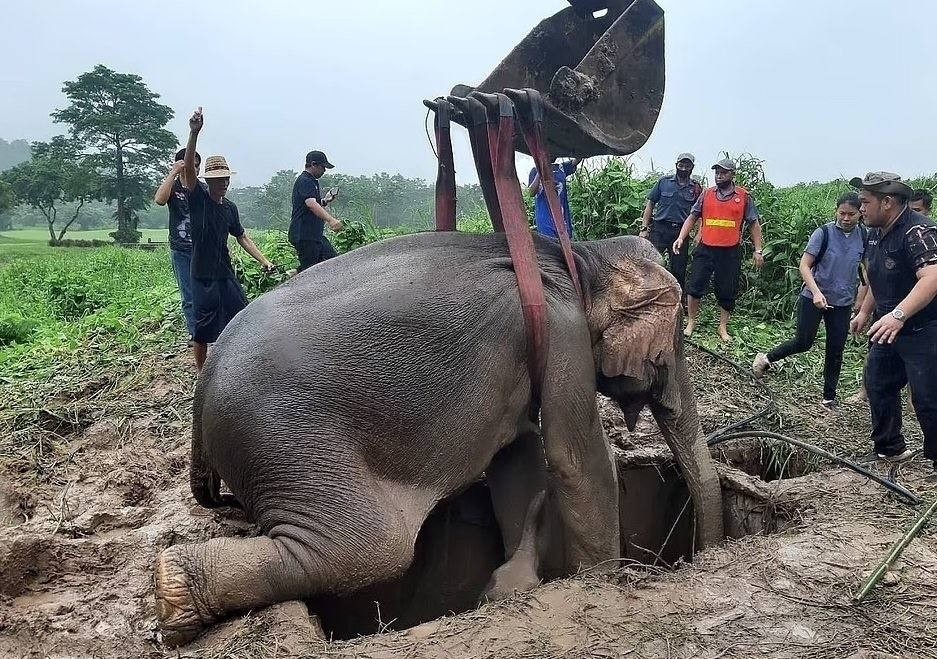 Этой трогательной картинкой Евгений иллюстрирует восстановление данных