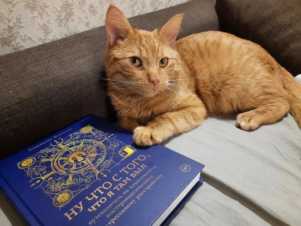 «Официально в России такого диагноза нет»: что важно знать о кПТСР - 1