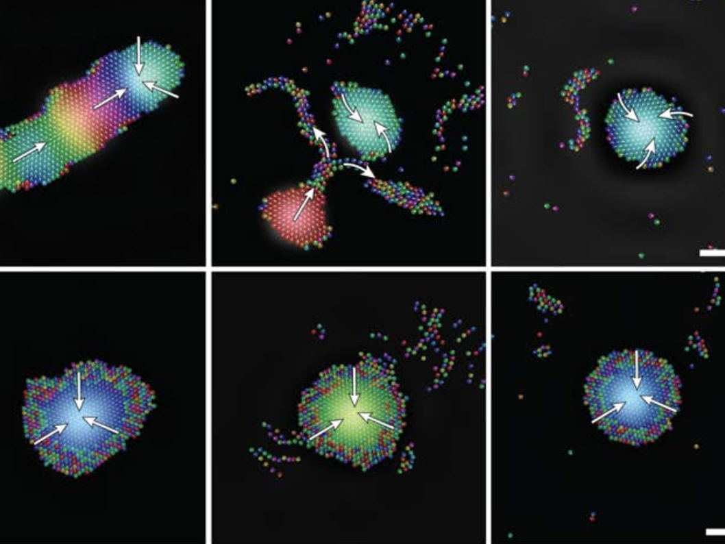 Объединение микророботов в рои под управлением звука Объединение микророботов в рои под управлением звука